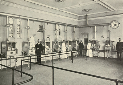 Buffalo NY incubators incubators